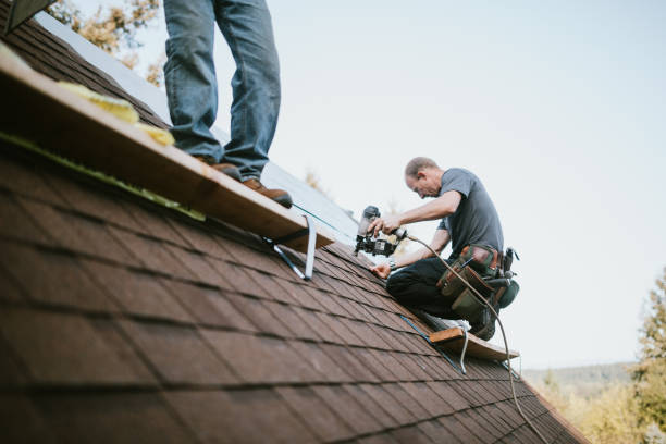 Best Roof Leak Repair  in Ranson, WV